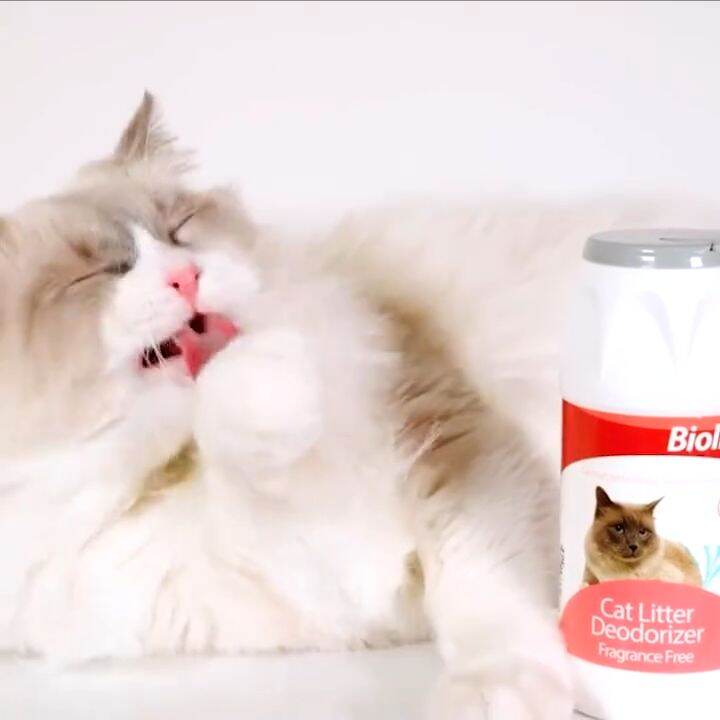 Bioline Cat Litter Deodorant Powder Shampoos 425g Lazada PH