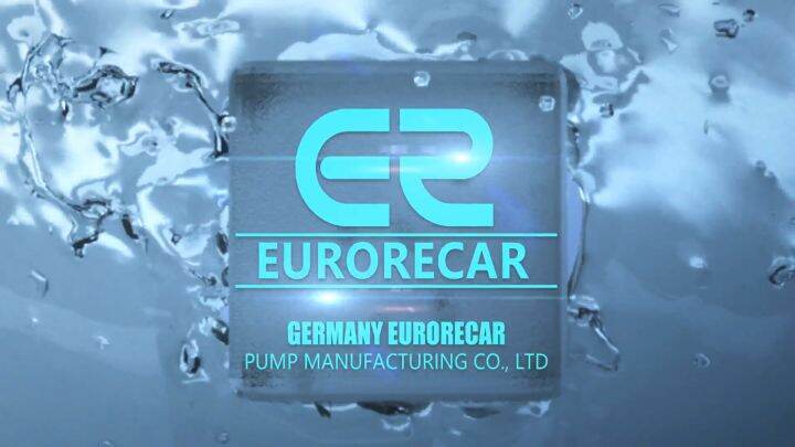 EURORECAR Submersible Water Pump 220V 3'' 1.5HP Deep Well Water Pump ...