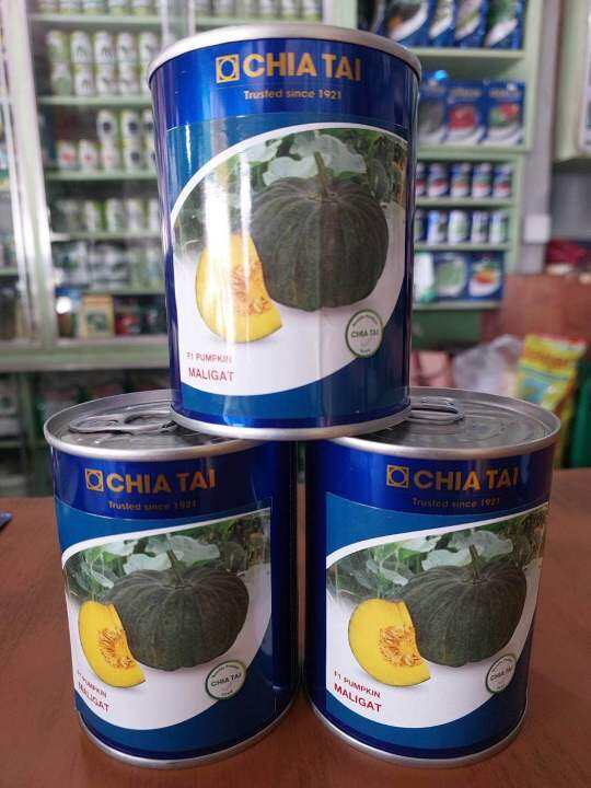 MALIGAT F1 CHIA TAI SEED HYBRID PUMPKIN SQUASH KALABASA VEGETABLE SEEDS