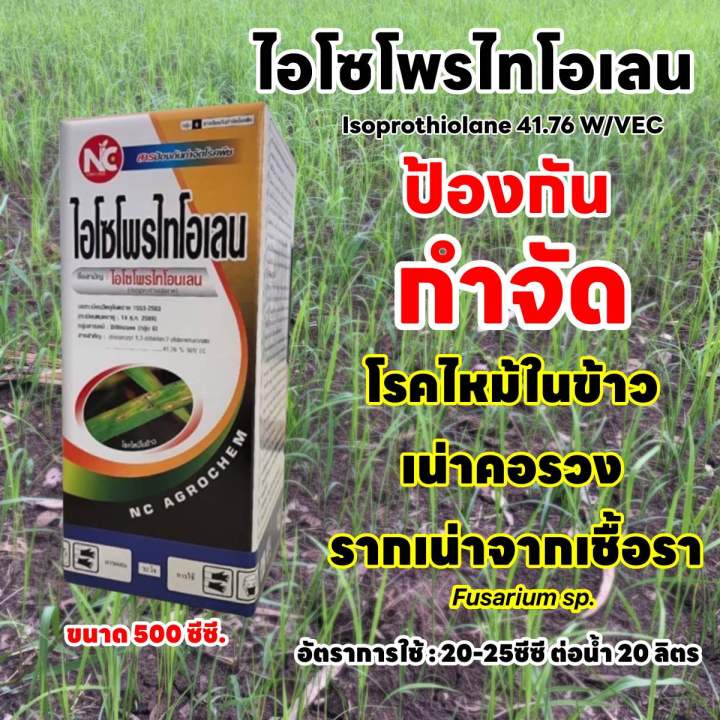 ไอโซโพรไทโอเลน-ป้องกันกำจัดโรคพืช-โรคไหม้ในข้าว-โรคเน่าคอรวง-โรครากเน่าจากเชื้อรา-fusarium-sp-ขนาด-500-ซีซี