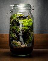 สวนขวดแก้ว​ สวนน้ำตก​ เทอราเรียม​ Terrarium​ สำเร็จ​รูป​