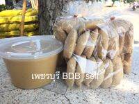 น้ำตาลโตนดแท้จากเพชรบุรี หอมมาก บรรจุ 1 กก