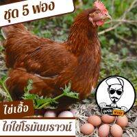 ไข่เชื้อไก่ไข่โรมันบราวน์ ชุด 5 ฟองสำหรับฟัก