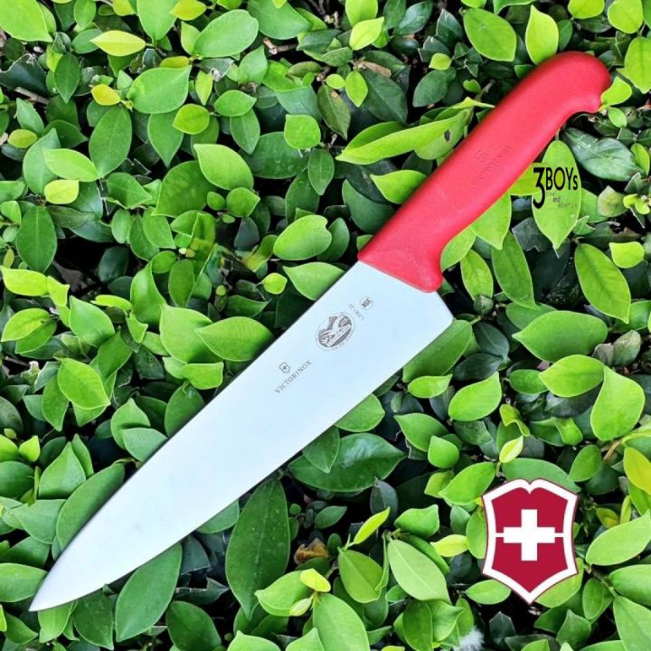 มีดทำครัว-victorinox-carving-knife-ของแท้-มีดสำหรับงานครัวหรือในอุสาหกรรมขนาดใหญ่-ผ่านมาตรฐาน-nsf-ขนาด-25ซม-swiss-made