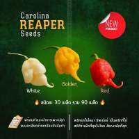 เมล็ดพันธุ์พริก Carolina Reaper 3 สี (red,golden,white)สวยและเผ็ดที่สุดในโลก ชุดละ 30 เมล็ด