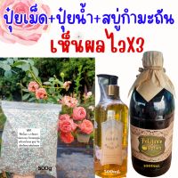 เซตบำรุงX3 ปุ๋ยกุหลาบเม็ด 500g.+น้ำยาสรรพรส 500ml.+สบู่กำมะถัน 1000ml.