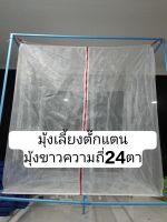 กระชังเลี้ยงตั๊กแตน(ขาว24ตา)