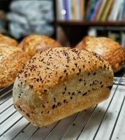 Wholewheat Sourdough  Sandwich Bread