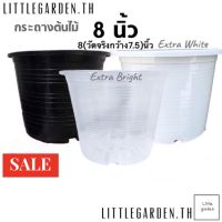 Little กระถางแคคตัส 8 นิ้ว (วัดจริงกว้าง 7.5 นิ้ว)(6 นิ้ว 4 นิ้ว)(สีขาวออร่าA+?)(สีใสพิเศษA+?)