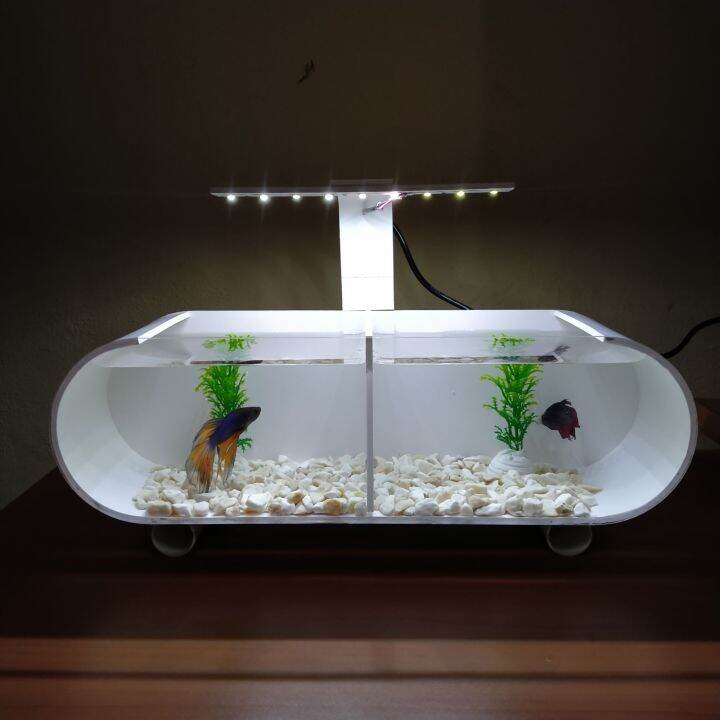 Aquarium Akrilik Sekat Fullset Aquarium Cupang Sekat Lazada Indonesia