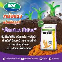 เมล็ดพันธุ์ข้าวโพด เอ็นเค 7321 3.5 หุน 10 กก. ฝักเสมอ สีสวย