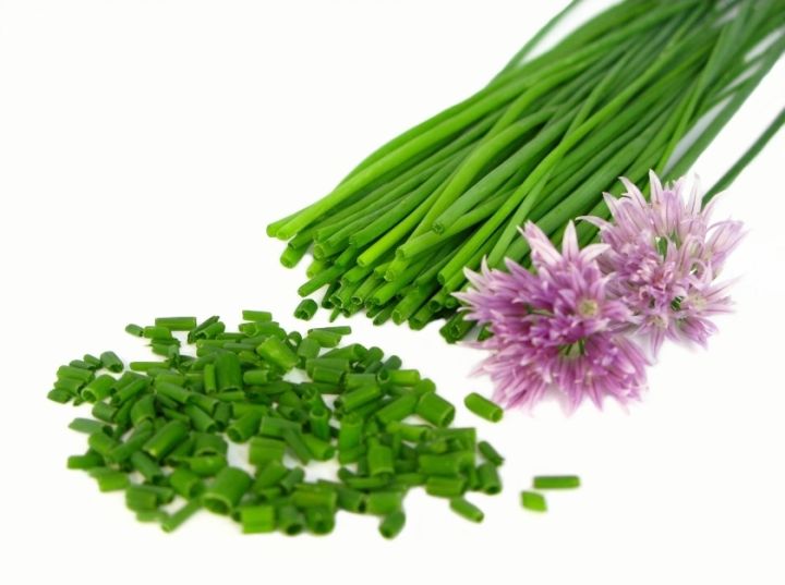 หอมดอก-หอมดอกฮอลแลนด์-ดอกหอม-เมล็ดพันธุ์-common-chives-holland-seeds-บรรรจุ-30-40-เมล็ด