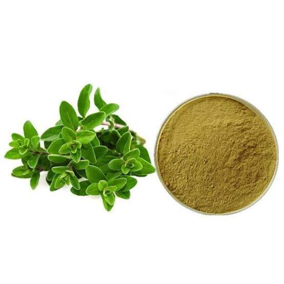 Oregano Bubuk 100gram | Lazada Indonesia