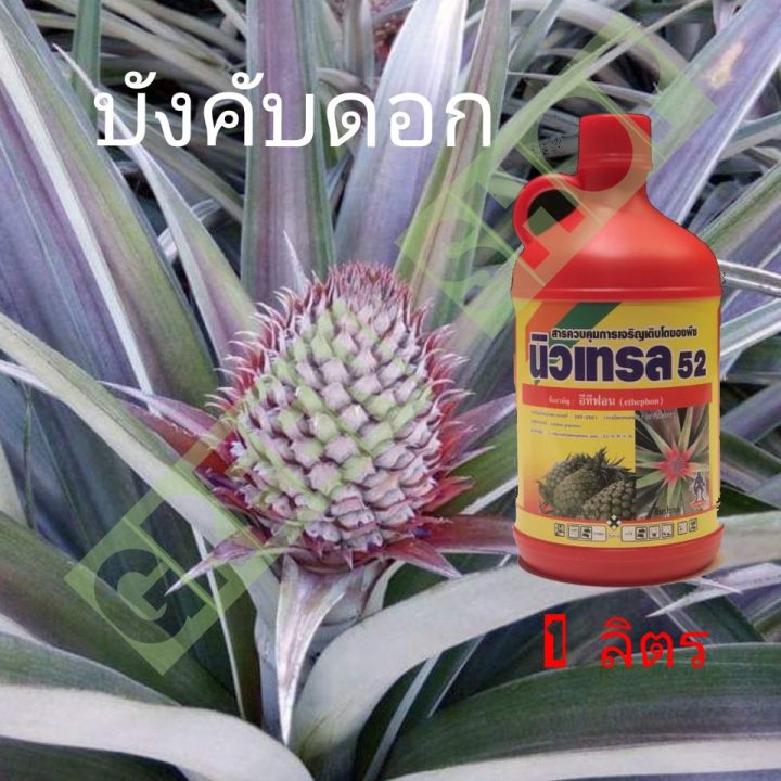 นิวเทรล-สารสำคัญ-อีทีฟอน52-ฝาแดง-ขนาด-1-ลิตร-น้ำใส