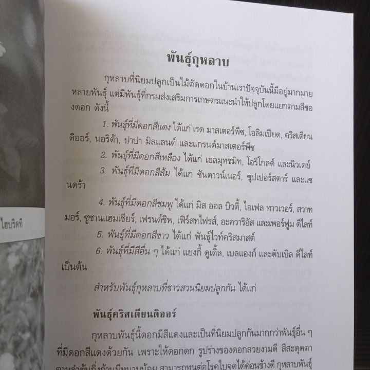 หนังสือ-กุหลาบ-โดย-กลุ่มเกษตรสัญจร-62-หน้า-มีขีดเขียน-ตามรูป