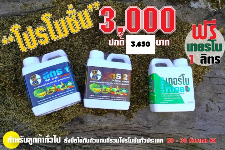 โปรโมชั่น คิงส์สูตร 1 สูตร 2