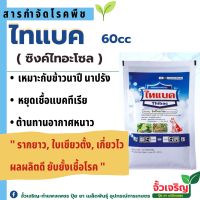 ไทแบค (60cc) ซื้อ1แถม1 สารป้องกันกำจัด เป็นสารป้องกันและกำจัดโรคแบคทีเรียในข้าว เป็นสารดูดซึม ออกฤทธิ์ทั้งกำจัดและป้องกันโรคข้าวที่เกิดจากเชื้อแบคทีเรีย ได้แก่ โรคขอบใบแห้ง โรคใบขีดโปร่งแสง