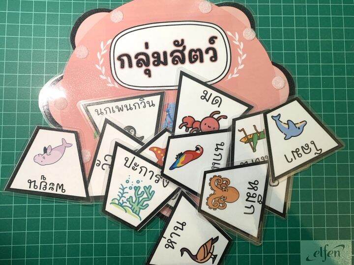 สื่อการสอนวิทย์-วงล้อจับคู่การจัดกลุ่มสิ่งมีชีวิต-ใช้ตีนตุ๊กแกติด