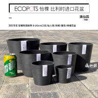 Ecopots กระถางดอกไม้เรซินกระถางไวนิลนำเข้าจากเบลเยียมพิเศษสีเทาเข้ม