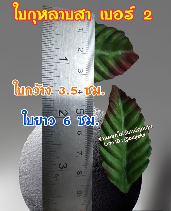 ใบกุหลาบสา-เบอร์-2-ห่อละ-500-ใบ-ใช้สำหรับประดับตกแต่งช่อดอกไม้งานประดิษฐ์