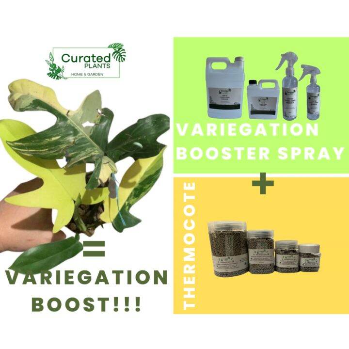 Thermocote in Fertilizer Cup / Fertilizer Basket with Lid Ready to Use