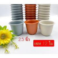 กระถางต้นไม้ 2.5 นิ้ว เซท 12 ใบ กระถางต้นไม้พลาสติก สีขาว สีเทา สีส้ม