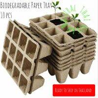 Pots Plants Seedling Tray 12 Holes 100% Biodegradable Paper Compose 10 Tray ถาดปลูกผัก ย่อยสลายเองได้ เป็นมิตรต่อสิ่งแวดล้อม บรรจ 10 ถาด ถาดปลูกเมล็ดเริ่มต้น ลังปลูกผัก กล่องปลูกผัด ดอกไม้ เมล็ดพันธุ์พืช (พร้อมส่ง)