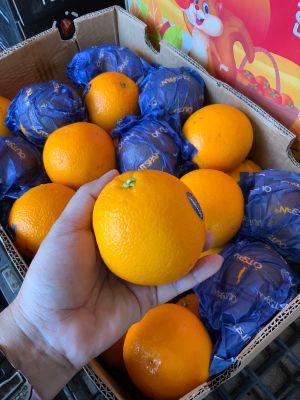 ส้ม ส้มซันคริส ส้มเวเลนเซีย Valencias South Africa  ลูกใหญ่ 4-5 ลูก (น้ำหนัก 1 กิโลกรัม)