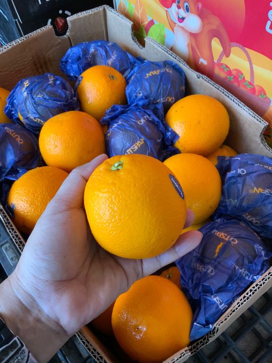ส้ม-ส้มซันคริส-ส้มเวเลนเซีย-valencias-south-africa-ลูกใหญ่-4-5-ลูก-น้ำหนัก-1-กิโลกรัม