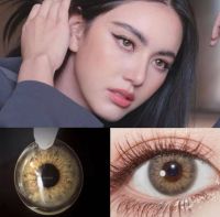 ?ส่งฟรี ส่งไว?รุ่น Limited dna brown/gray