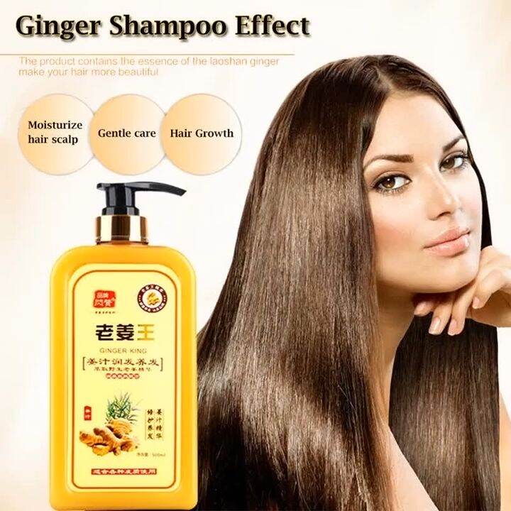 1 Bottle Ginger Juice Anti Hair Loss Hair Shampoo Professional Repair