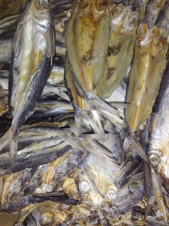 Flying fish Iliw Dried fish Badi fresh from Bicol Good for breakfast ...