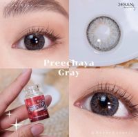 Peechaya  gray สีเทารุ่นละมุนขนาดไม่โต สีเทามีขอบ