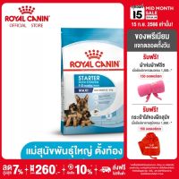 Royal Canin Maxi Starter Mother &amp; Baby Dog โรยัล คานิน อาหารเม็ดแม่สุนัข และ ลูกสุนัขหย่านม พันธุ์ใหญ่ อายุ 1-2 เดือน (กดเลือกขนาดได้, Dry Dog Food)