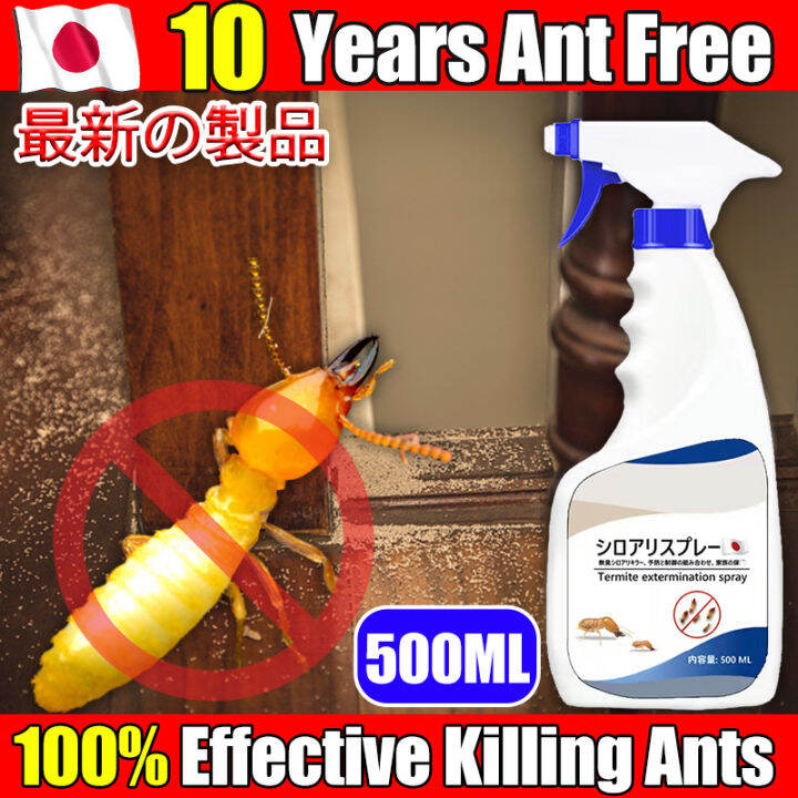 🐜termites are all dead🐜BD Termites killer spray 500ml termite