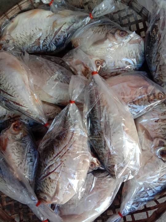 ปลาส้ม-ปลาตะเพียน-ขนาด-450g-ทอดหรือย่างห่อใบตองก็อร่อย-ตัวละ-40-บาท