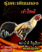 ไข่เชื้อไก่ชน พม่าตีหู เจ้าโชคดี ร้านส่งไว