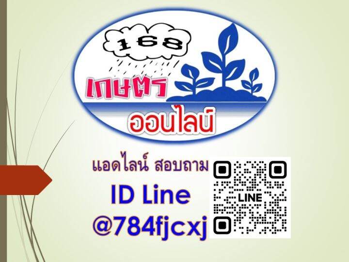 ยกลัง12-ถุงโพรพาโมคาร์บไฮโดรคลอไรด์-propamocarb-hydrochloride-เมทาแลกซิล-metalaxyl-10-15-wp-แมคนาเรส-บรรจุ1-กก