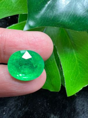 12 carats columbian emerald green size 12x14mm พลอย columbia โคลัมเบีย Green&nbsp;Emerald&nbsp;มรกต ผลิตจาก สวิส lab CORUNDUM  oval shape  carats (พลอยสั่งเคราะเนื้อแข็ง)