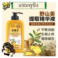 Ginger Scalp Shampoo แชมพูขิงบำรุงเส้นผมหนังศรีษะ (500 ml.)