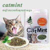 สมุนไพรแมว แคทนิป แคทนิปออร์แกนิค Catnip Catmint สมุนไพรแมว ตำแยแมว (ซอง5กรัม)