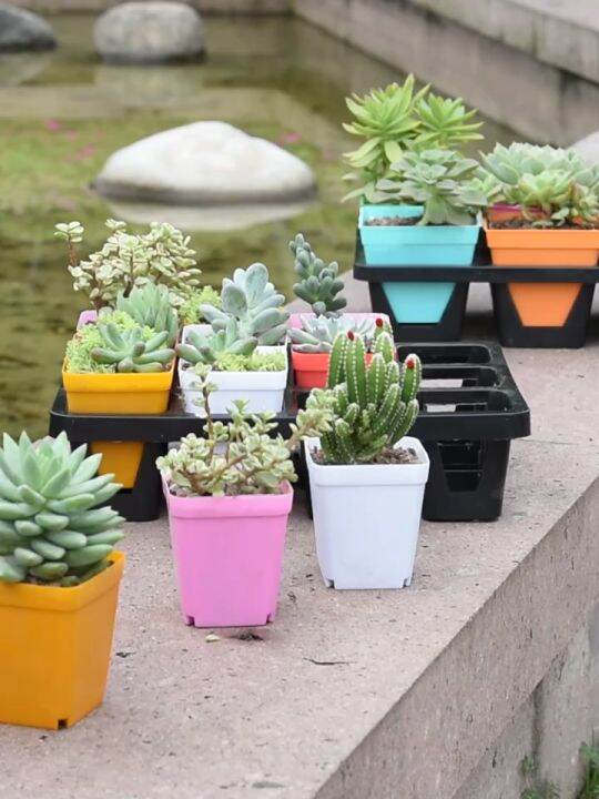 Small square plant pot Succulent Plastic Pots for plants indoor cactus
