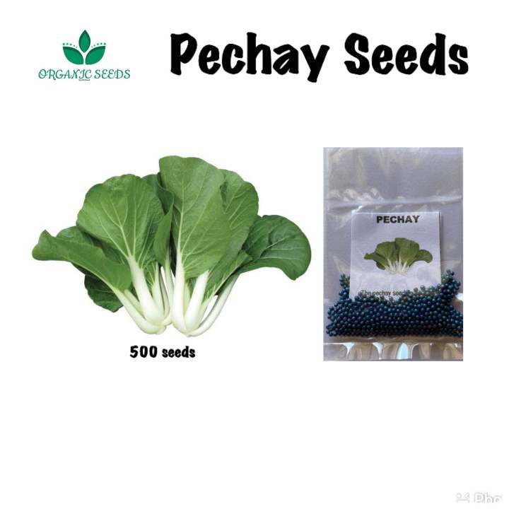 Pechay Seeds (500pcs) | Lazada PH