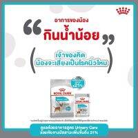 Royal.canin.Urinary.care.สูตรดูแลสุขภาพทางเดินปัสสาวะ​ ขนาด​ 1kg.แถมฟรีอาหารเปียก​ 1ซอง