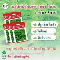 เมล็ดพันธุ์กะเพรา ใบเงิน ตรา ใบไม้ ขนาด 1 กรัมต่อซอง จำนวน 5 ซอง จาก ไดนามิคพันธุ์พืช Holy Basil seeds (Baingein) 1 grams x 5 sachets from Dynamic Seeds