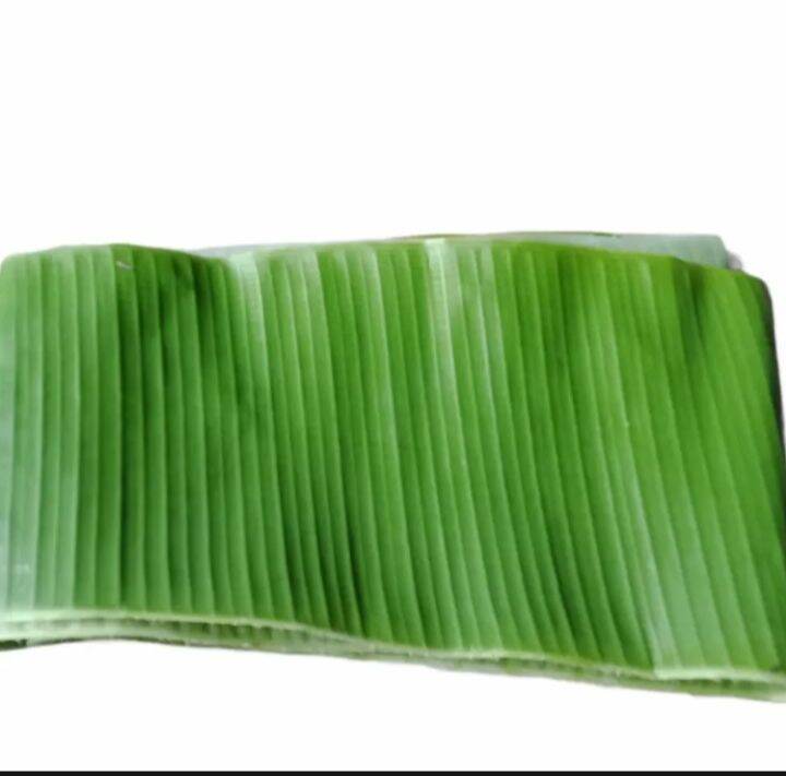 Banana leaves, Dahon ng saging 1kg | Lazada PH