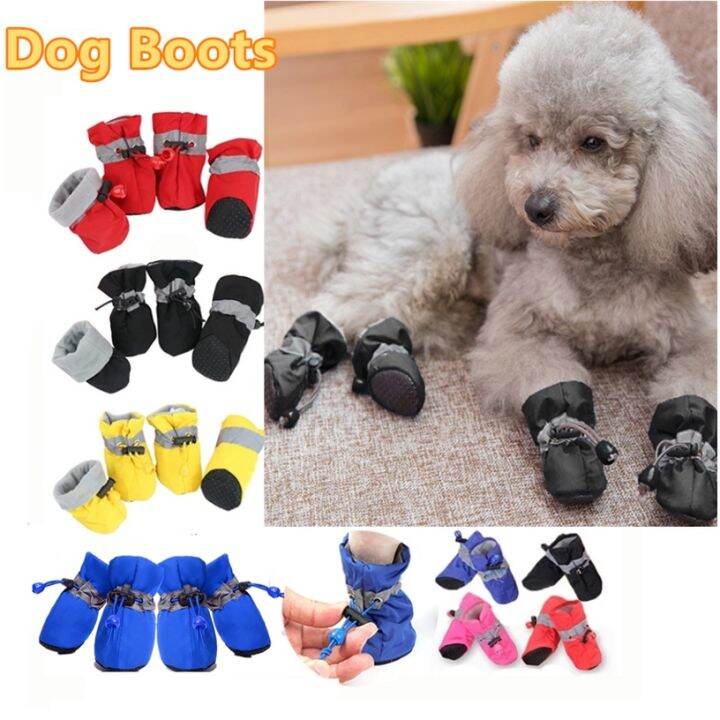 Dog shop shoes lazada