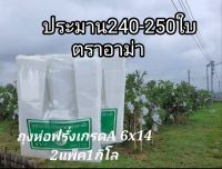 ถุงห่อผลไม้ ถุงห่อฝรั่ง ถุงห่อชมพู่ ถุงห่อฝรั่ง 6×14เนื้อดี ห่อฝรั่ง ขาวขุ่น ป้องกันแมลง ป้องกันแสงแดดตราระฆัง2แพ็ค1กิโล ตราอาม่า