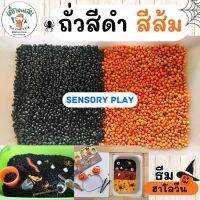 ถั่วสีดำ ถั่วสีส้ม สำหรับกิจกรรม sensory bin ธีมฮาโลวีน Halloween sensory play ของเล่นวันฮาโลวีน trick or treat