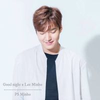 Set lee min ho